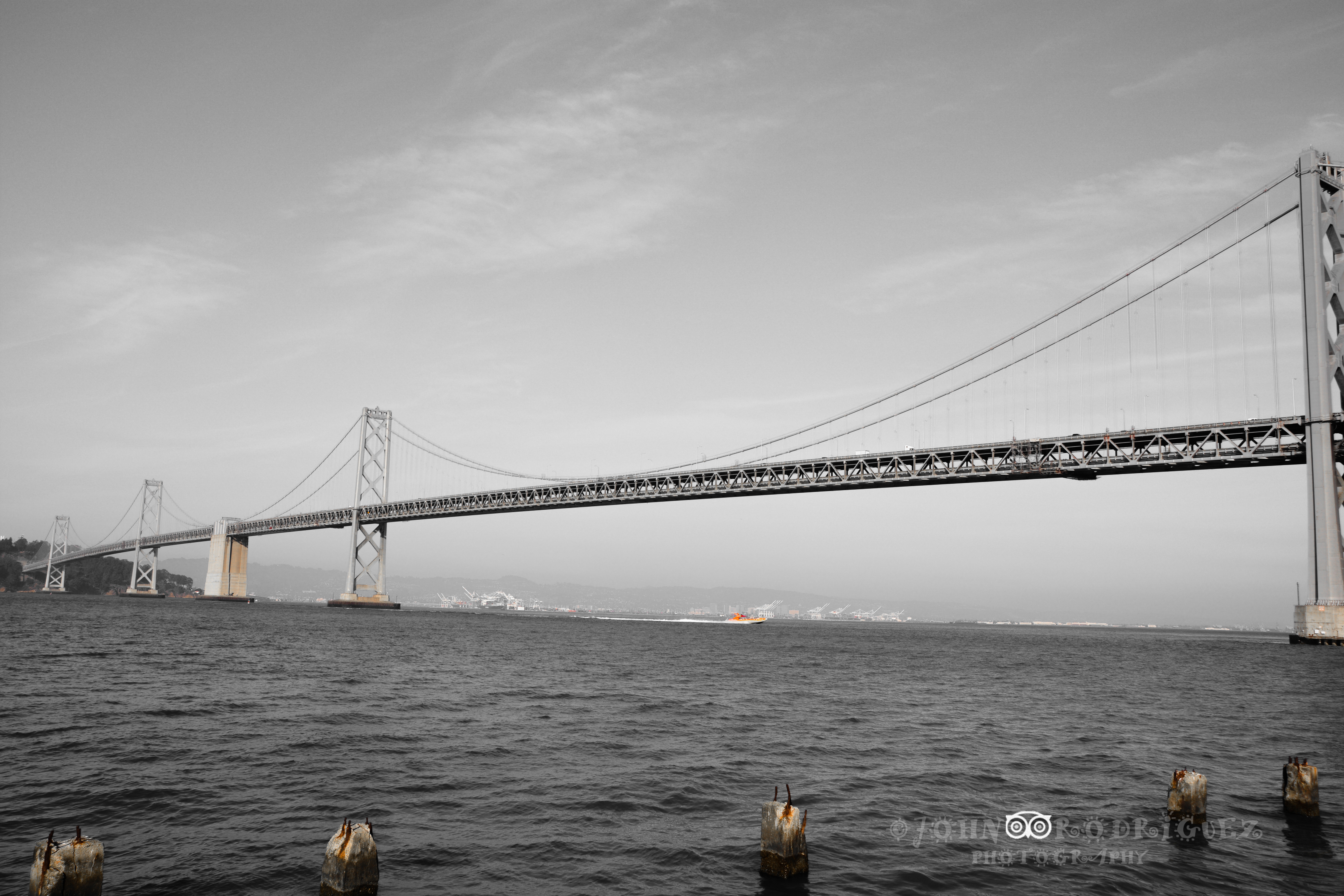 DSC_5964_edited